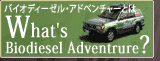 What's Biodiesel Adventure?